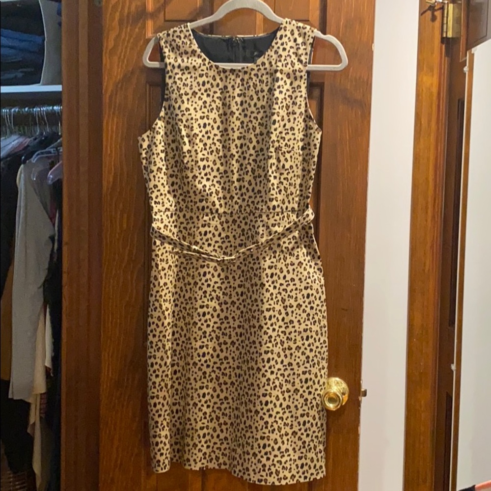 J crew leopard shift dress